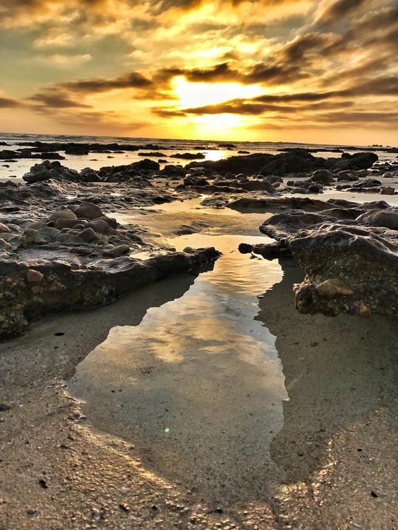 Summerseas 54 Порт-Елізабет Екстер'єр фото